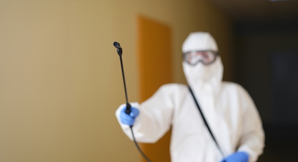 Why DIY Pest Control Often Fails (and What to Do Instead)